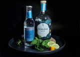Gin & Tapas: Genussabend mit Gin-Experten 26.02.2027